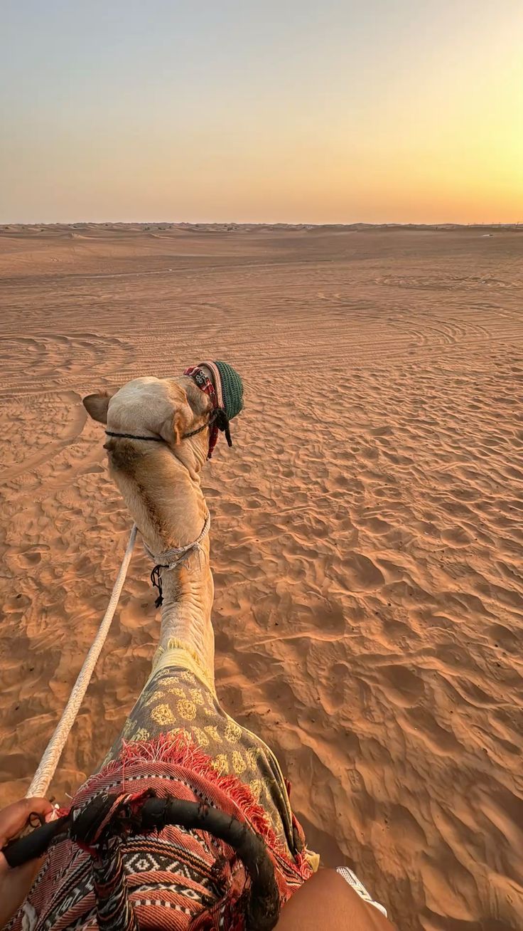Ras Al Khaimah